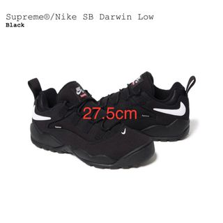 Supreme - Supreme Nike SB Darwin Low ダーウィン ナイキ