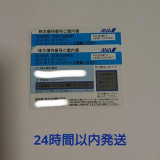 エーエヌエー(ゼンニッポンクウユ)(ANA(全日本空輸))の匿名配送 2枚 ANA株主優待 全日空株主優待(その他)