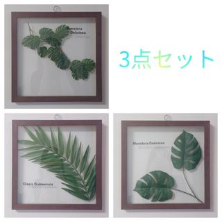 Monstera Deliciosa リーフパネル アートパネル 壁掛けリーフ