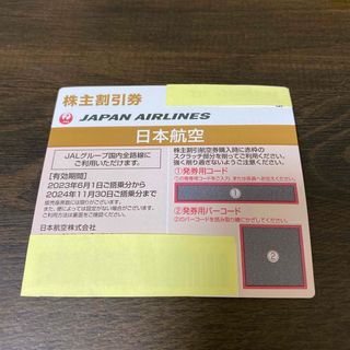 JAL 日本航空　株主優待