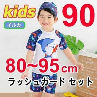 ラッシュガード子ども水着３点セット　80～95cm　海　プール　イルカ(水着)