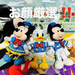 ディズニー(Disney)の★新品★ディズニー　パルパルーザ　ドナルド　ミッキー　ミニー　ぬいぐるみバッジ(キャラクターグッズ)