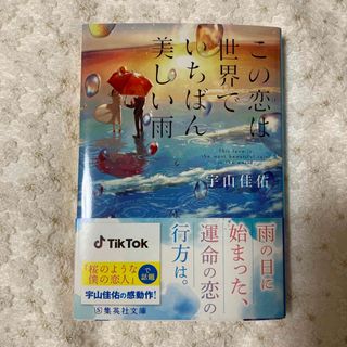 シュウエイシャ(集英社)のこの恋は世界でいちばん美しい雨(その他)