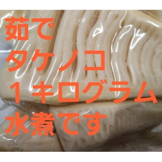 【1kg】静岡県産 たけのこ 水煮 採れたて パウチ(野菜)