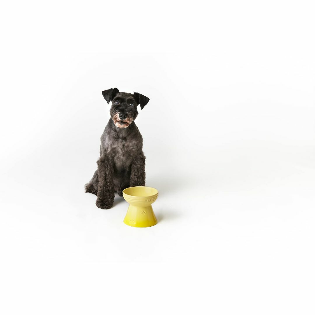 【色: オレンジ】ル・クルーゼLe Creuset ハイスタンド・ペットボール  その他のペット用品(犬)の商品写真