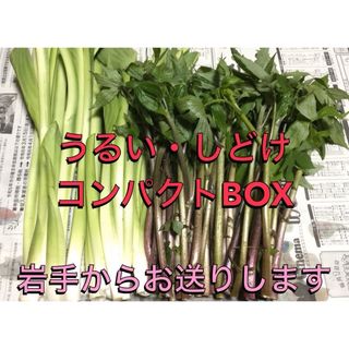 うるい、しどけ　コンパクトBOX(野菜)