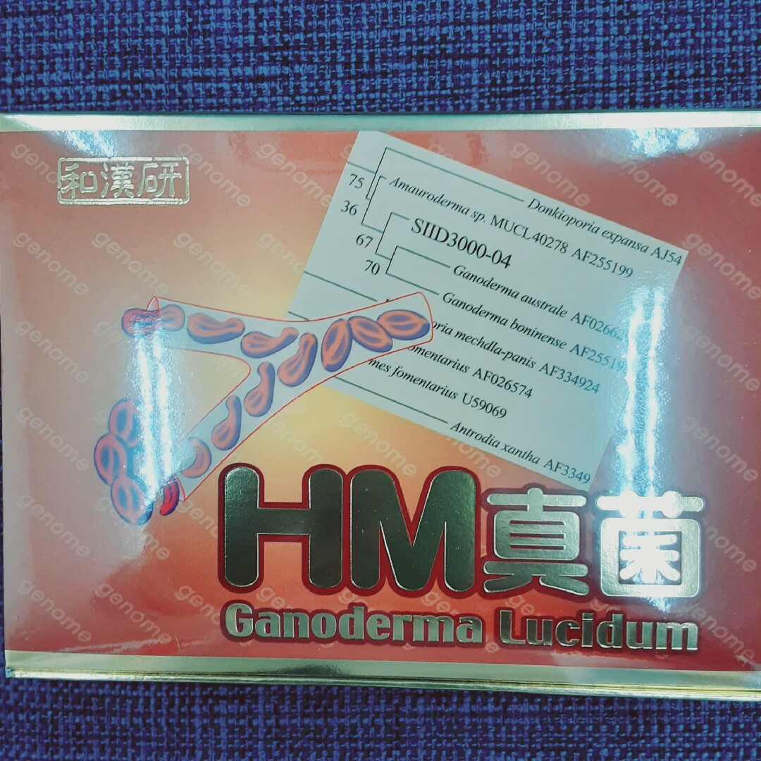 和漢生薬研究所　HM真菌60カプセル 食品/飲料/酒の健康食品(その他)の商品写真