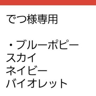 でつ様専用　ブルーポピー☆ネイビーブルー☆種子20粒(その他)