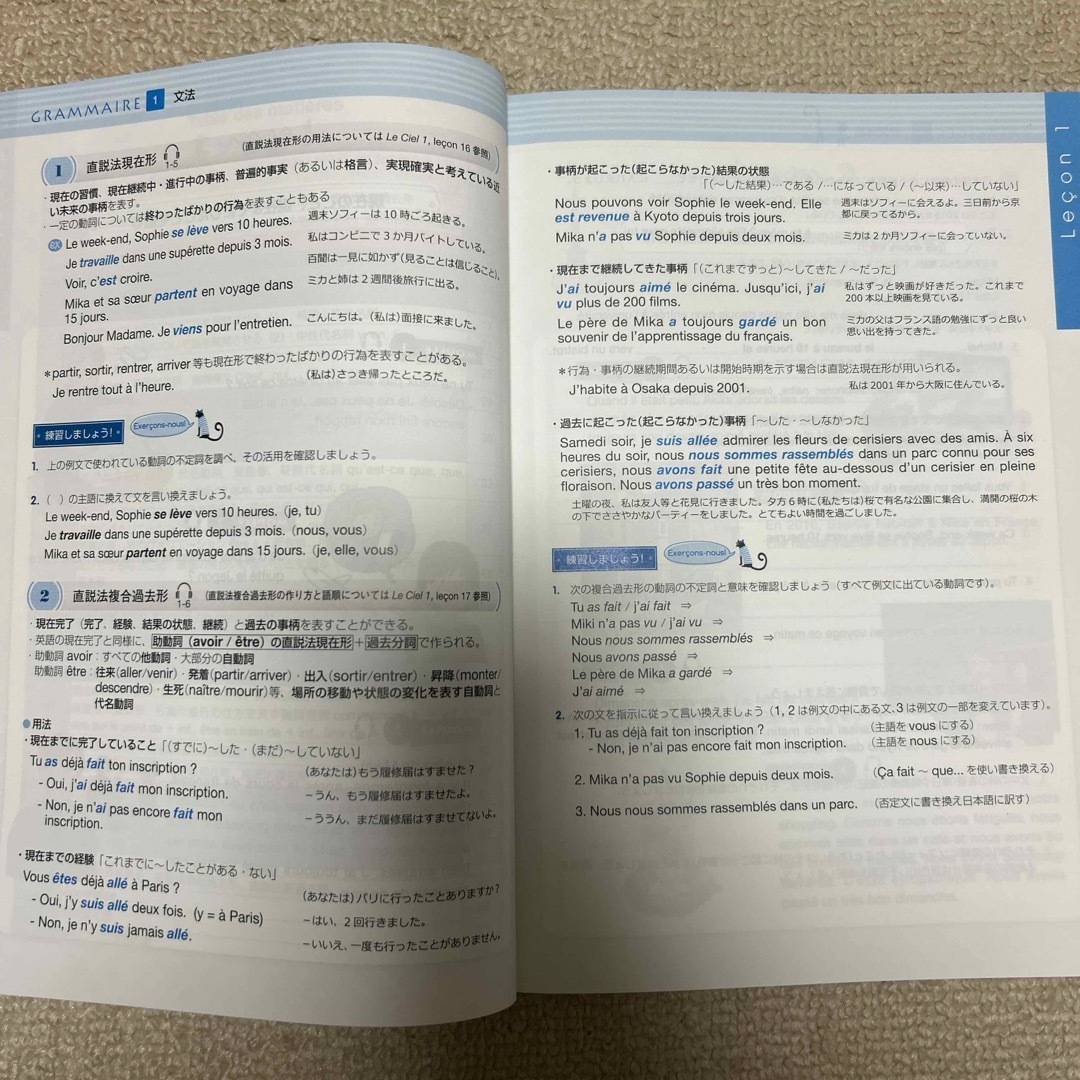 ル・シエル（フランス語文法書発展版） エンタメ/ホビーの本(語学/参考書)の商品写真