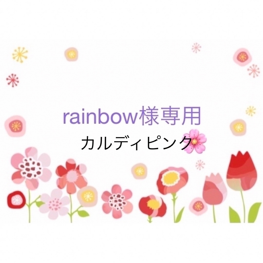 rainbow様専用 ハンドメイドのファッション小物(ポーチ)の商品写真