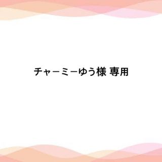 チャーミーゆう様 専用ページ(その他)