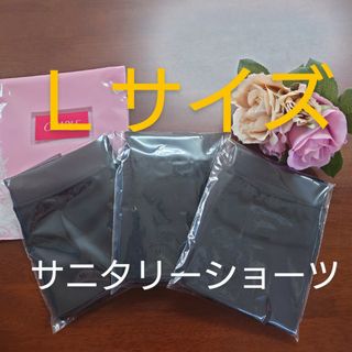 シャルレポケット付きサニタリーショーツＬｻｲｽﾞ3枚セットブラック入荷したて！(ショーツ)