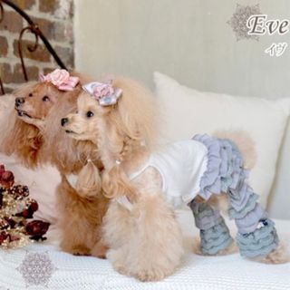 グラマーイズム(Glamourism)のGlamourism Eve グレー【Sサイズ】(犬)