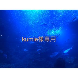 kumie様専用 東2(その他)