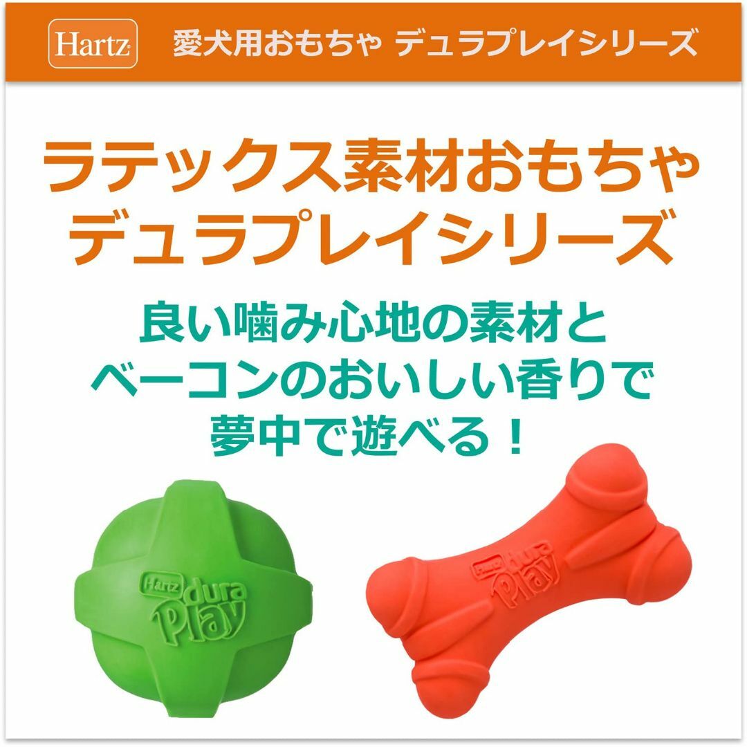 【色: ネオンピンク】デュラプレイ ボーン 犬用おもちゃ Sサイズ ネオンピンク その他のペット用品(犬)の商品写真