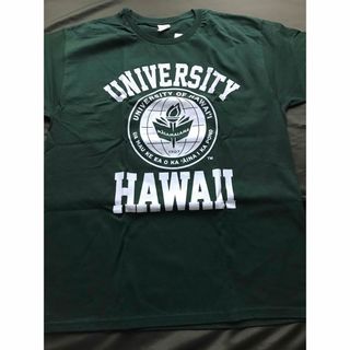 HAWAIIハワイ　ハワイ大学デザイン　Tシャツ　US L(Tシャツ/カットソー(半袖/袖なし))