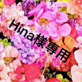 Hina様専用(その他)