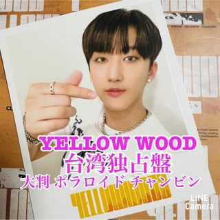 Stray Kids YELLOW WOOD 台湾独占盤 ポラ チャンビン(K-POP/アジア)