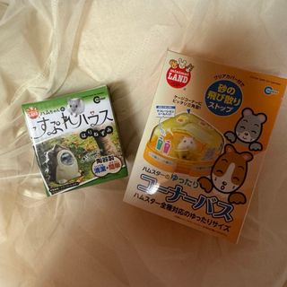 ハムスター(小動物)