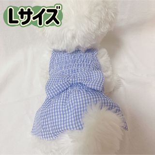 犬服猫服　ペット服　ペットウェア　ドッグウェア　ブルーリボンLサイズ(ペット服/アクセサリー)