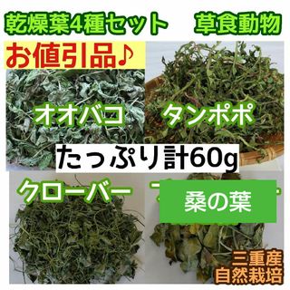 増量お得品❣️ 乾燥葉人気4種 60g ウサギ チンチラ テグー ハムスター 等(小動物)