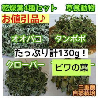 増量お得品❣️ 乾燥葉人気4種100g ウサギ チンチラ テグー ハムスター 等(小動物)