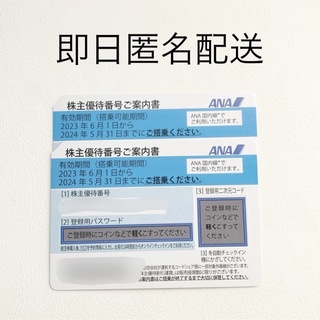 ANA(全日本空輸) - 【匿名即日配送】2枚セット ANA 株主優待券 2024年5月31日迄　全日空