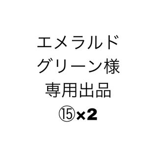 エメラルドグリーン様 専用出品⑮×2(各種パーツ)