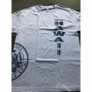 HAWAIIハワイ　ハワイ州デザイン　Tシャツ　US L(Tシャツ/カットソー(半袖/袖なし))