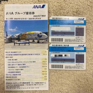 エーエヌエー(ゼンニッポンクウユ)(ANA(全日本空輸))の【匿名配送】ANA 株主優待　2枚(航空券)