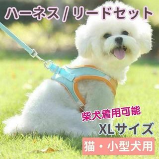 ハーネス リード セット XLサイズ ベスト 犬 猫 オレンジ グリーン 柴犬(犬)