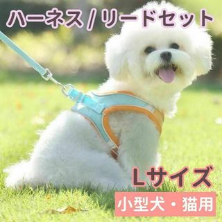 ハーネス リード セット Lサイズ ベスト 犬 猫 オレンジ グリーン 小型犬(犬)