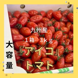 【5月のフルーティ『アイコトマト』】１時箱３ｋｇ  《大容量》《送料無料》(野菜)