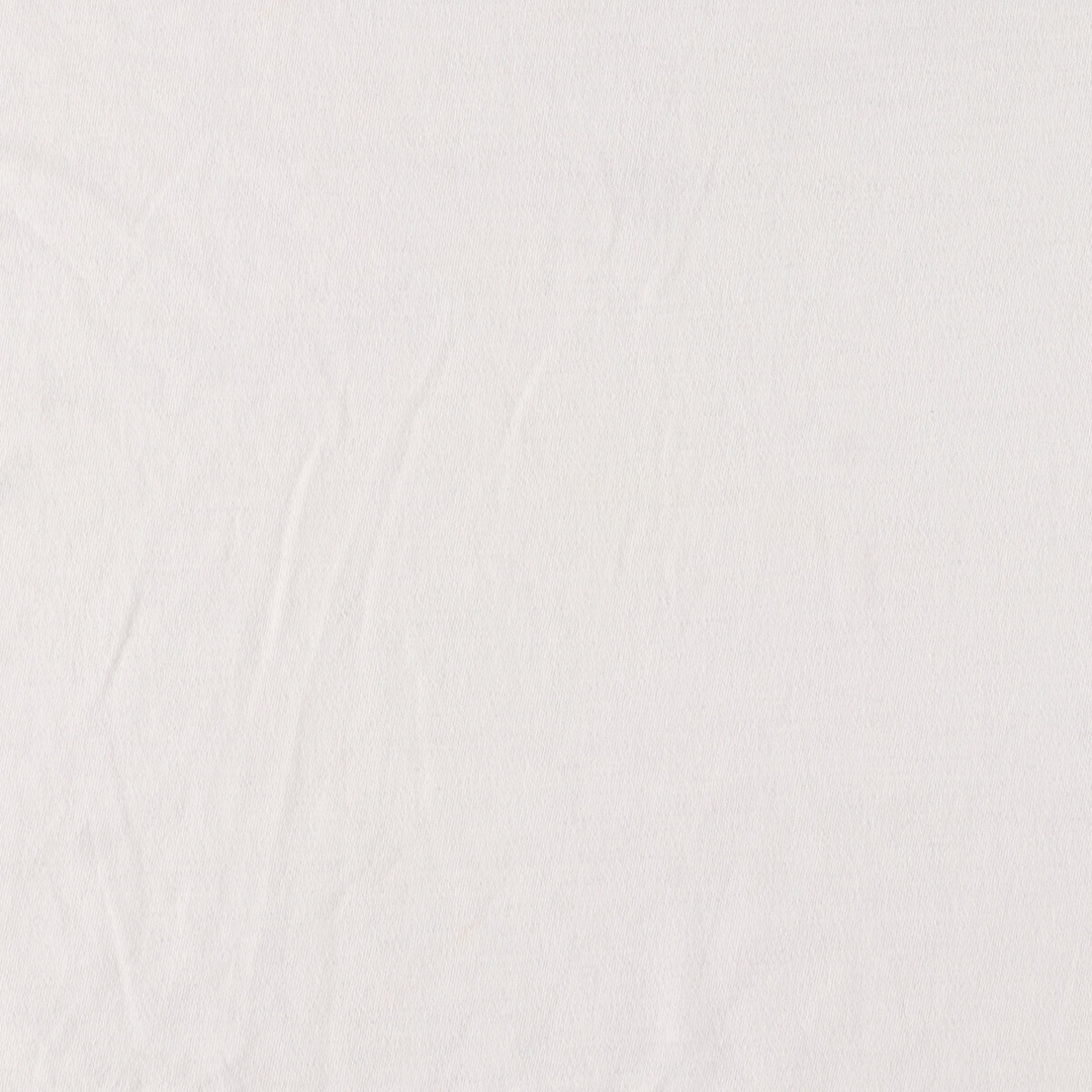 古着 90年代 ラッセル Russell NUBLEND プリントTシャツ メンズM ヴィンテージ /eaa442802 メンズのトップス(Tシャツ/カットソー(半袖/袖なし))の商品写真