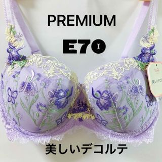 トリンプ(Triumph)のE70 トリンププレミアム レッドレーベル 0078 ブラジャー(ブラ)