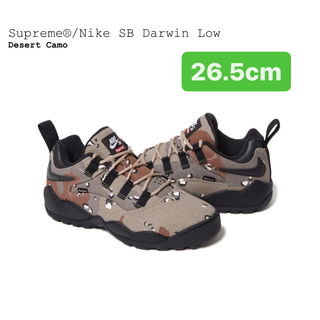 シュプリーム(Supreme)のSupreme × Nike SB Darwin Low Desert Camo(スニーカー)