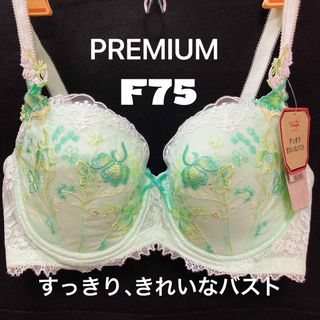 トリンプ(Triumph)のトリンププレミアム レッドレーベル 0078 ブラジャー F75(ブラ)