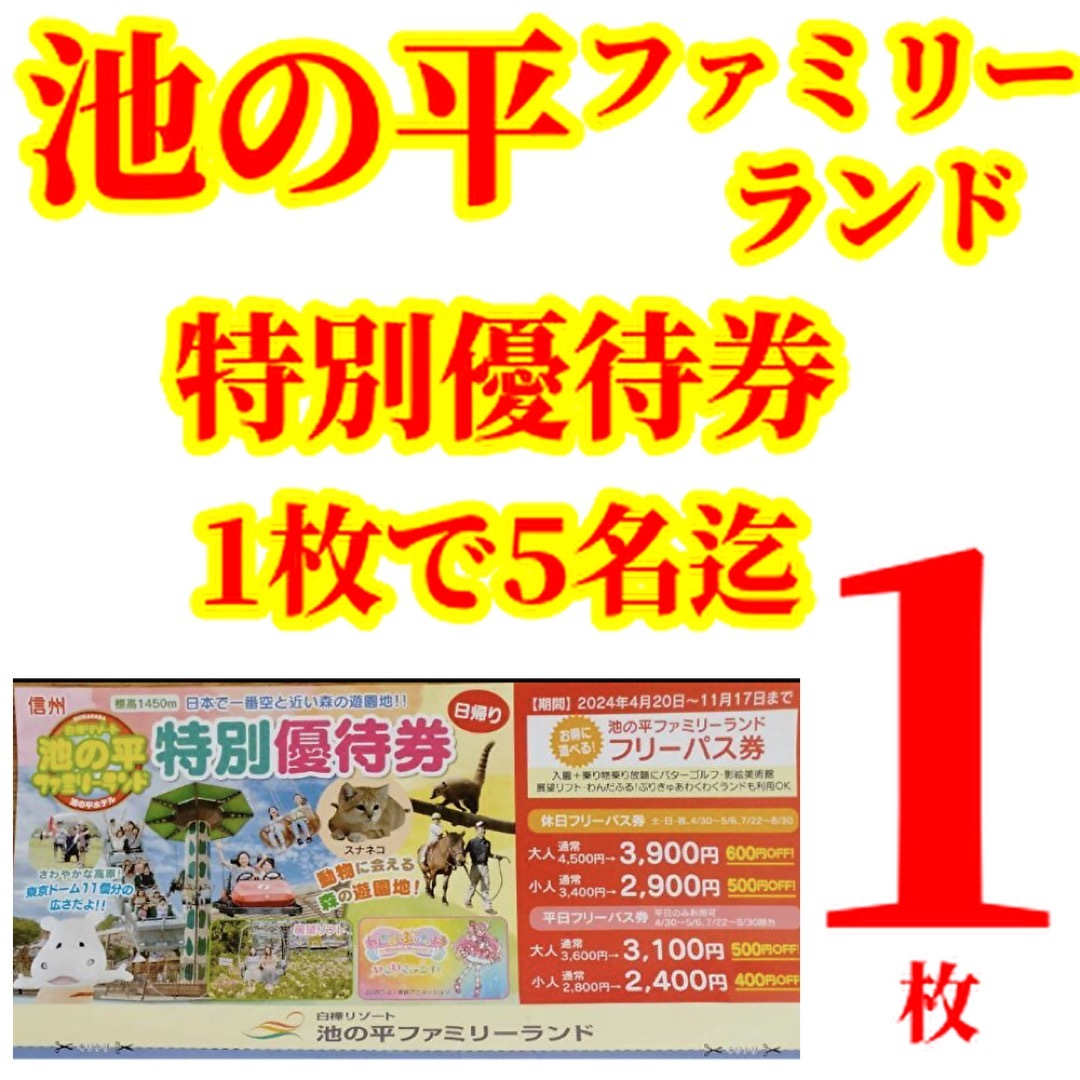 池の平ファミリーランド池の平ホテル1 チケットの施設利用券(遊園地/テーマパーク)の商品写真