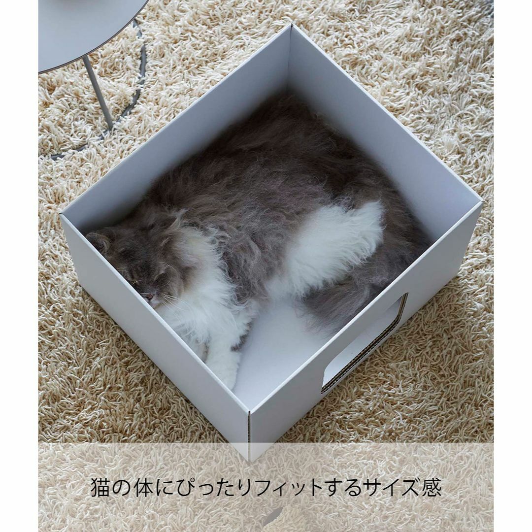 【色:ホワイト_サイズ:約W40×D35×H25.5cm（1個あたり）】山崎実業 その他のペット用品(猫)の商品写真