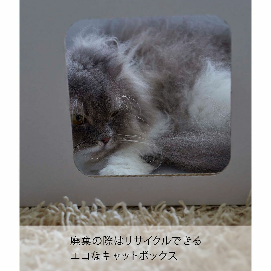 【色:ホワイト_サイズ:約W40×D35×H25.5cm（1個あたり）】山崎実業 その他のペット用品(猫)の商品写真