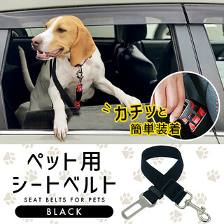 ペット用 シートベルト ドライブ 車 ブラック 調節可能 安全ベルト 新品(犬)