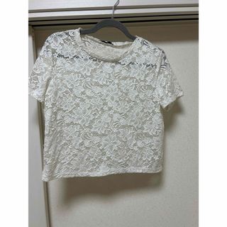 ザラ(ZARA)のZARA トップス　ショート丈(カットソー(半袖/袖なし))