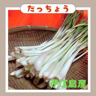 伊江島産 島らっきょう 100g皮むき品(野菜)