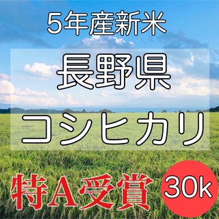 【令和5年産】長野県コシヒカリ30キロ白米 (米/穀物)