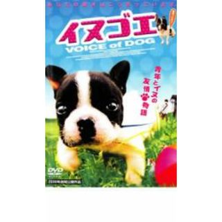 【中古】DVD▼イヌゴエ レンタル落ち