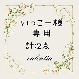 🌟いっこー様 専用ページ🌟 計2点(ヘアアクセサリー)