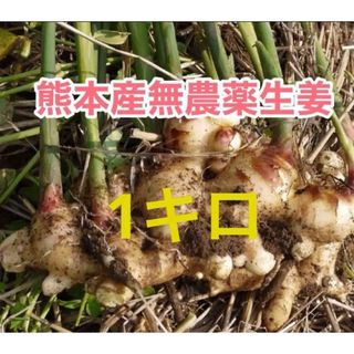 熊本産農薬不使用生姜1キロ