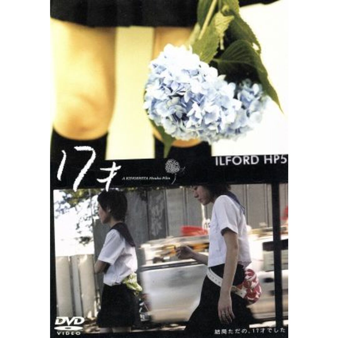 １７才 エンタメ/ホビーのDVD/ブルーレイ(日本映画)の商品写真