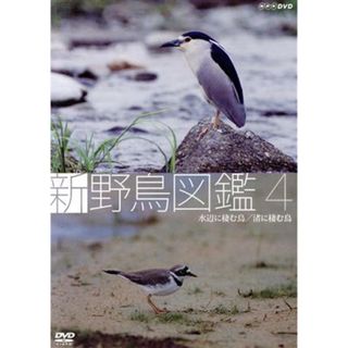 新　野鳥図鑑　第４集　水辺に棲む鳥／渚に棲む鳥(趣味/実用)