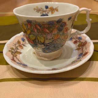 ロイヤルドルトン(Royal Doulton)のロイヤルドルトン　ブランブリーヘッジ  カップアンドソーサー　1983年オータム(食器)